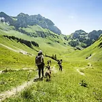 Campanules Cp6 Telecabine & Nature 4 Pers Apartman Châtel