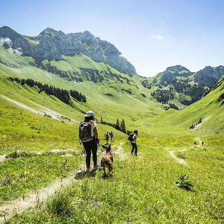 Campanules Cp6 Telecabine & Nature 4 Pers Апартаменты Шатель