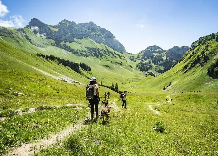 Campanules Cp6 Telecabine & Nature 4 Pers Appartamento Châtel